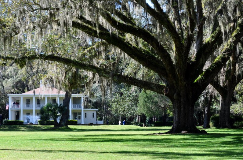 Eden Gardens State Park, Florida, USA